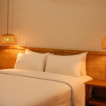Noorani Retreat Dhiffushi Bed & Breakfast